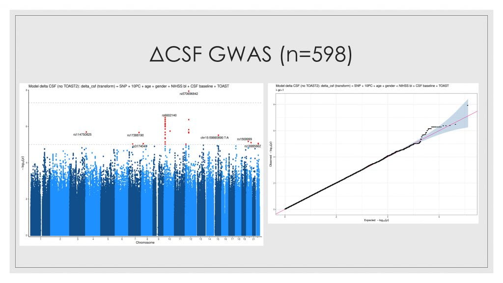 Manhattan plot of the results of a genome wide association study (GWAS) of the change in CSF volume (deltaCSF) in 598 hemispheric stroke patients from the GENISIS study.